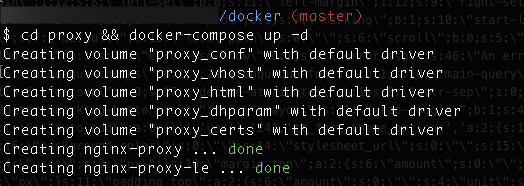 output after starting the nginx reverse proxy and the letsencrypt companion containers