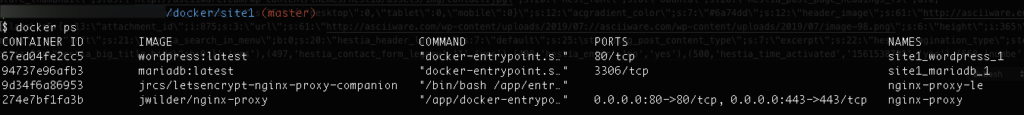 output of the docker ps command showing the reverse proxy and wordpress containers