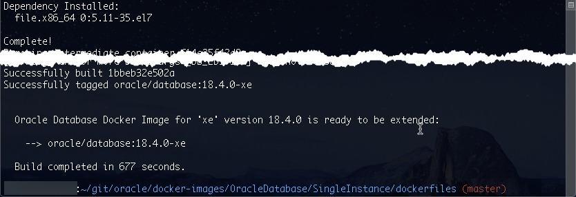 Output after building the docker image for running the Oracle DB.